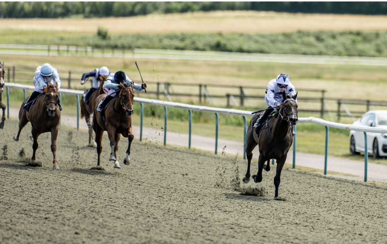 The Perfect Nation — Basher Watts Racing